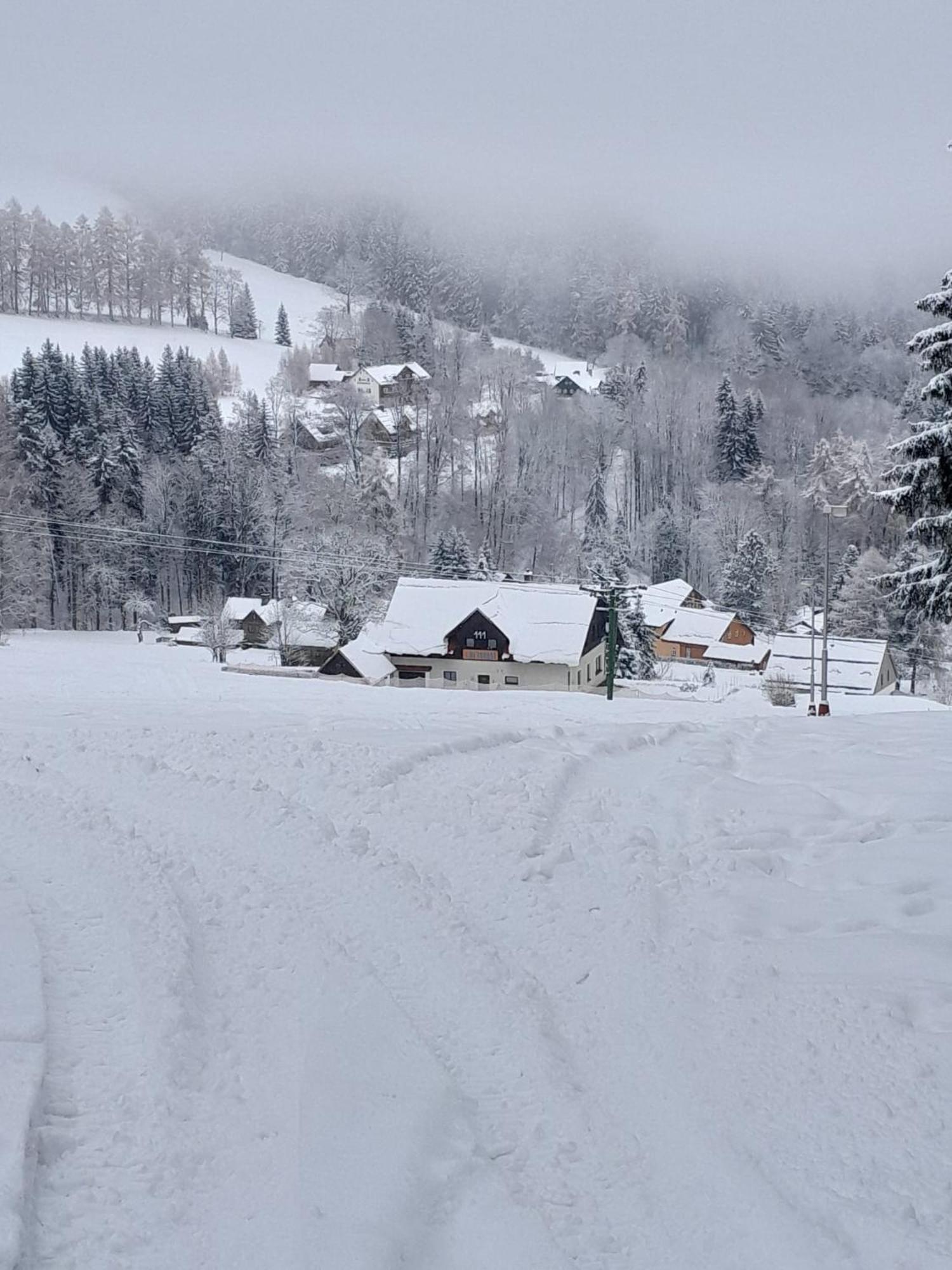 Family 2 Bedroom Ski&Bike Apartment With Terrase Janske Lazne Bagian luar foto